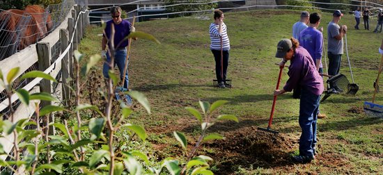 Image showing volunteers helping with garden work